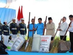 Prabowo Umumkan Indonesia Resmi Swasembada Pangan pada Tahun 2025